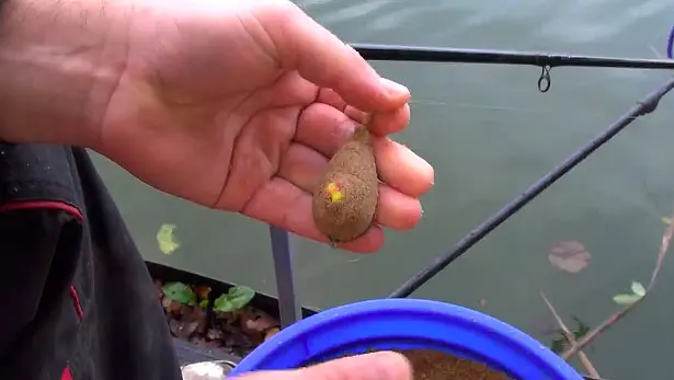 Bottom gear for carp: equipment, rod, reel, fishing technique
