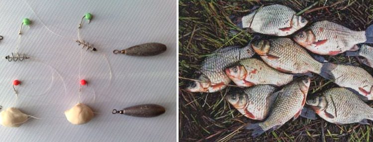 Gigi bawah untuk menangkap ikan mas: berbagai jenis peralatan