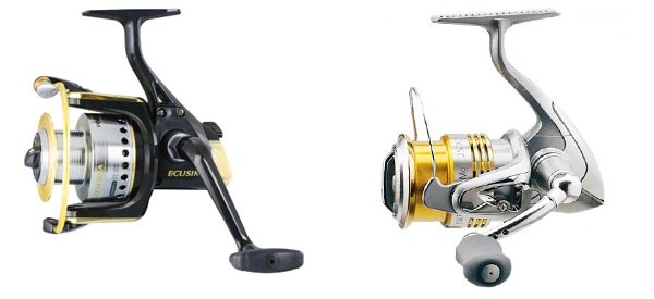 Bottom gear for catching carp: different types of equipment