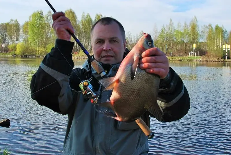 Bream fishing in October