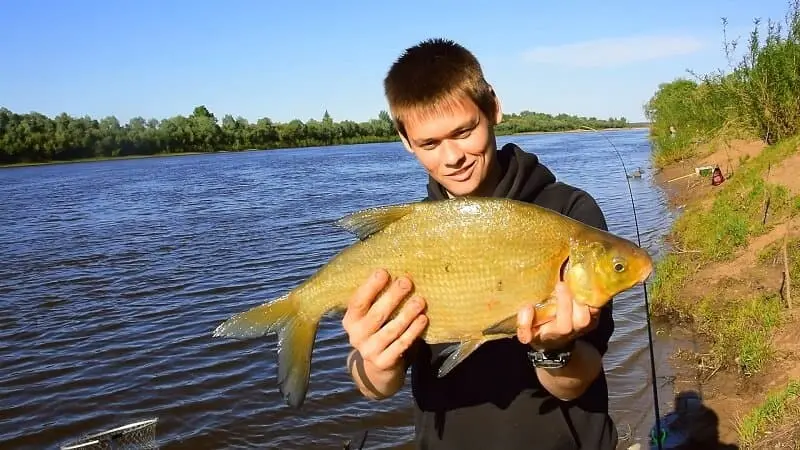 Bream fishing in October