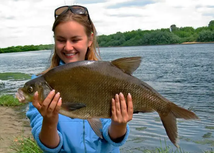 Bream fishing: tackle, time, where to catch and bait