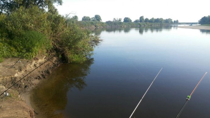 Bream fishing: tackle, time, where to catch and bait