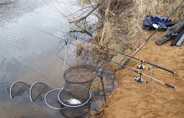 Bream fishing: tackle, time, where to catch and bait