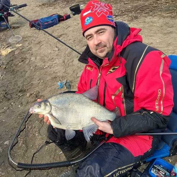 Bream: size to weight ratio