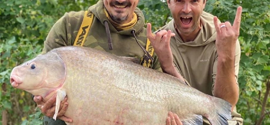 Buffalo fish: where in Astrakhan is found and what to fish for buffalo