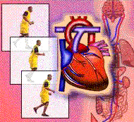 Srdeční neuróza. Jak nemoc poznat?