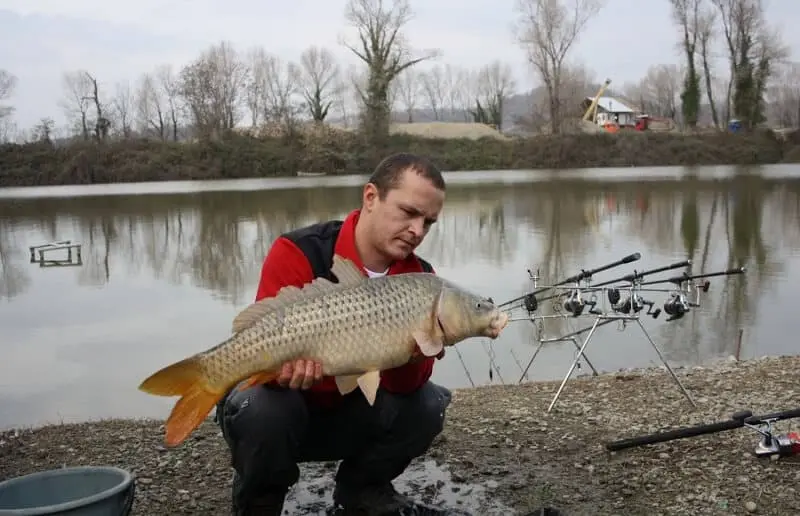 Carp fishing: features of catching a trophy specimen