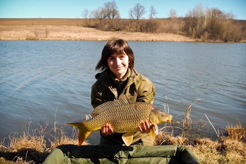 Carp fishing: features of catching a trophy specimen