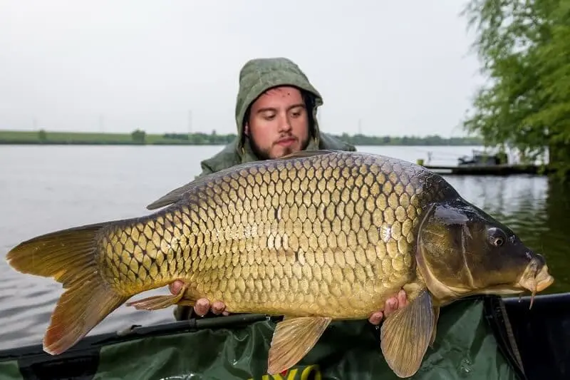 Carp fishing in autumn