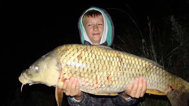 Carp fishing in autumn