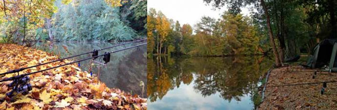 Carp fishing in autumn: in September, October, November. Overview of tackle and bait.