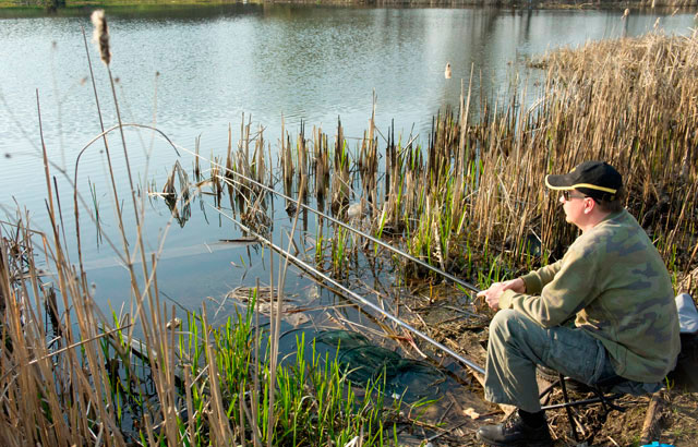 Carp fishing in spring: March, April, May. Overview of tackle and bait.