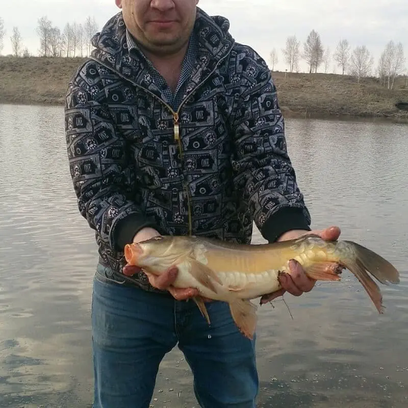 Carp fishing on the pond