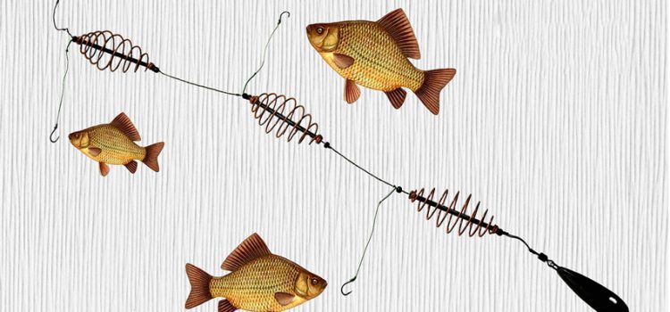 鯉魚殺手釣具：如何自己動手，釣魚技巧