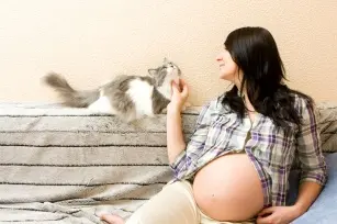 cat problem. Toxoplasmosis in pregnancy - how to avoid it?