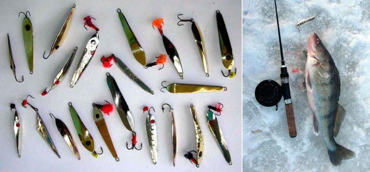 Catchable winter spinners: varieties and fishing techniques, Finnish spinners