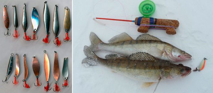 Catchable winter spinners: varieties and fishing techniques, Finnish spinners