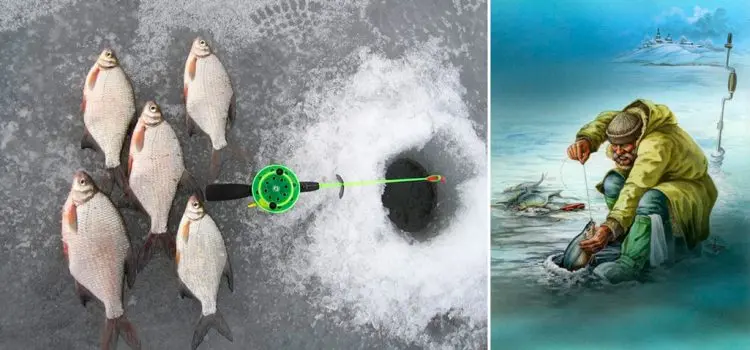 Catching a bream in winter: tackle, bait and bait, fishing technique