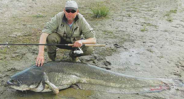 Catching a catfish for a frog from the shore and from a boat - video lesson