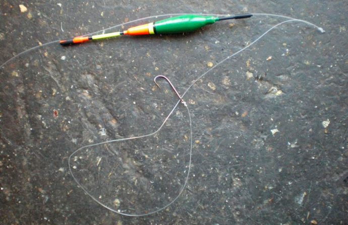 Catching a chub on a float rod: what to catch, tackle, bait