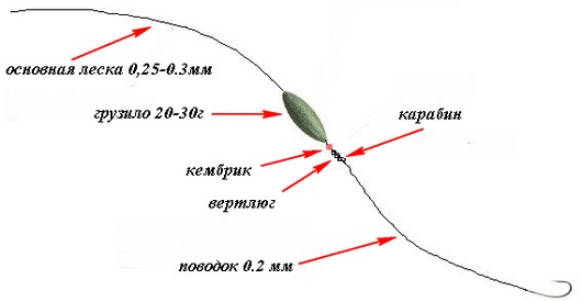 Catching a chub on a Maybug: fishing technique, equipment, tackle