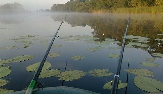 Catching a chub on a Maybug: fishing technique, equipment, tackle