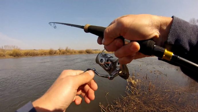 Catching a chub on spinning: the choice of spinning, bait and fishing technique