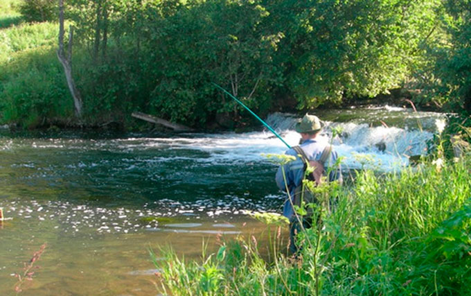 Catching a chub on spinning: the choice of spinning, bait and fishing technique