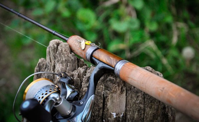 Catching a chub on spinning: the choice of spinning, bait and fishing technique