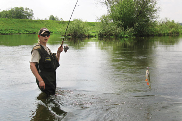 Catching a chub on spinning: the choice of spinning, bait and fishing technique