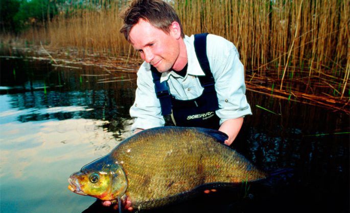 Catching a large bream on a bait: where to catch, the principle of fishing