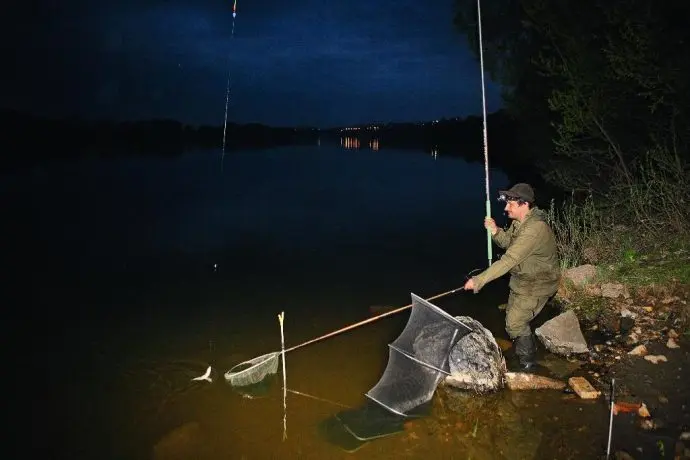 Catching a silver bream in spring, summer and autumn, how to fish with a float rod