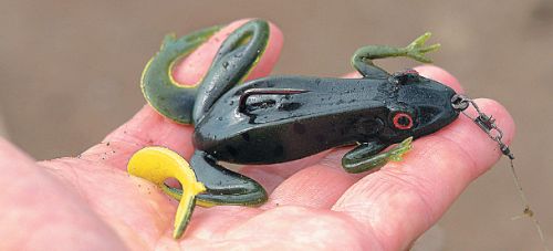 Catching a snakehead on a frog in Kazakhstan and in the Primorsky Territory, tackle