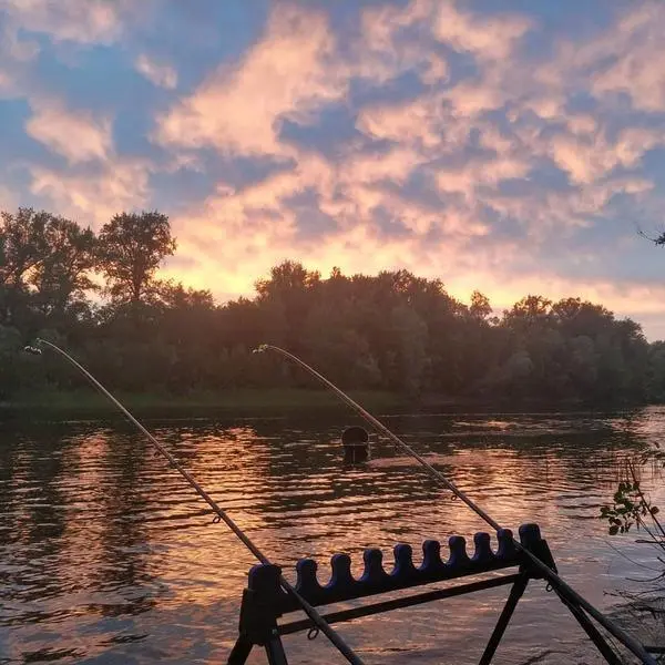 Catching bream in August on the feeder