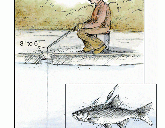 Atıştırmalıklar için morina balığı yakalamak: ilkbahar ve kış aylarında nehirde morina balığı yakalamak için mücadele