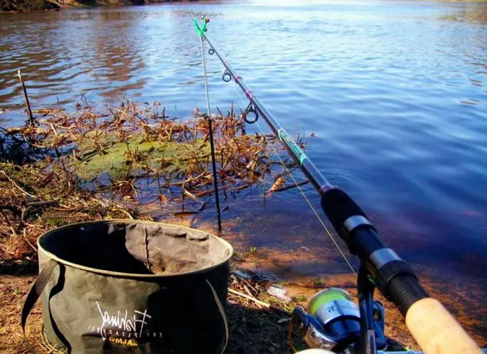 Catching burbot on the Oka in autumn: fishing on the bottom, feeder, bait and bait