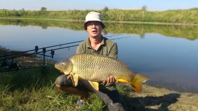 Catching carp for potatoes: preparing potatoes for fishing, gear, fishing techniques