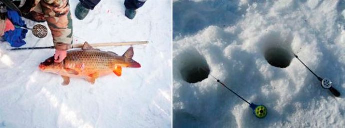 Catching carp in winter from ice: tackle, bait and where to catch