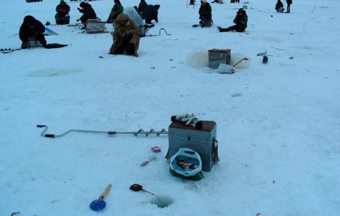 Catching carp in winter from ice: tackle, bait and where to catch