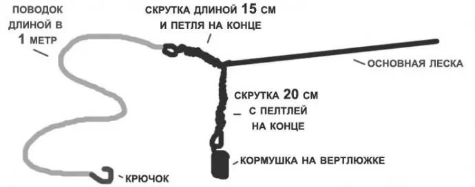Catching carp on a feeder: fishing technique, gear, equipment