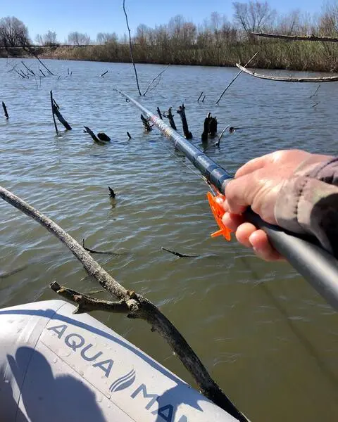 Catching carp on a float rod