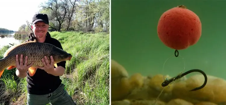 Catching carp on boilies: cooking recipes, fishing techniques