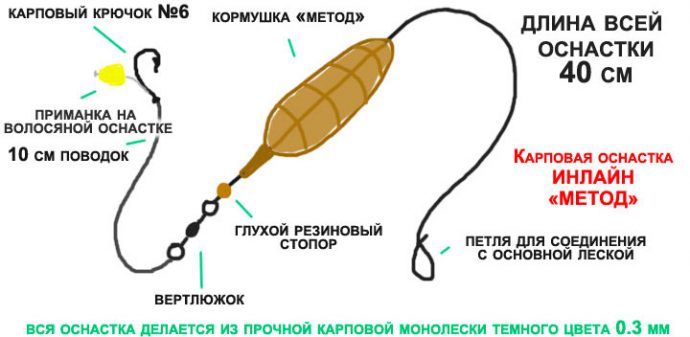 Catching carp on boilies: cooking recipes, fishing techniques