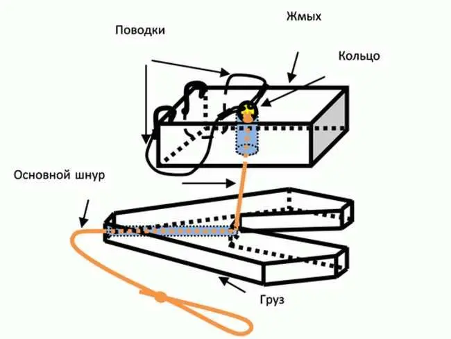 Catching carp on cake (makukha): tackle and fishing technique