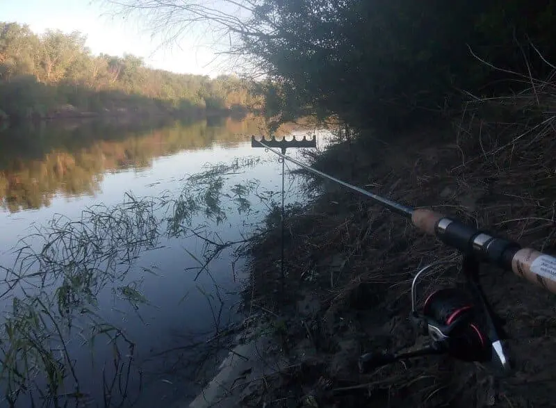 Catching carp on the feeder