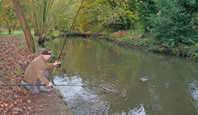 Catching carp on the river: on a float rod and feeder