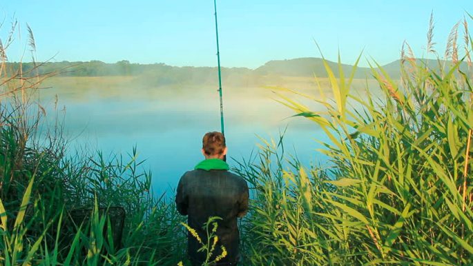 Catching carp on the river: on a float rod and feeder