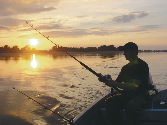 Catching catfish by trolling on wobblers: the choice of gear and fishing technique