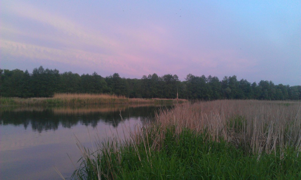 Catching catfish from the shore, choosing a place, tackle and bait